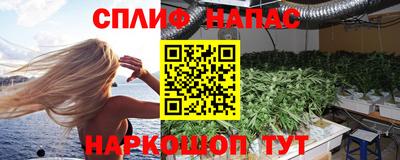 шишки Магадан