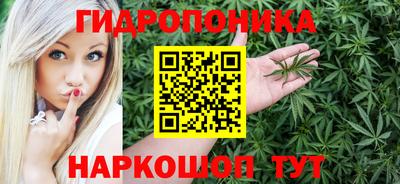 прущий лед Кингисепп