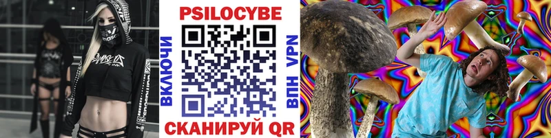 Псилоцибиновые грибы GOLDEN TEACHER  Юрга 